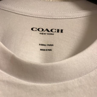 新品 未使用 COACH コーチ  シグネチャー Ꭲシャツ ホワイト　白　　M