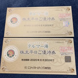 テルマー湯 平日優待券(その他)