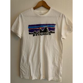パタゴニア(patagonia)のpatagonia tee tシャツ S(Tシャツ/カットソー(半袖/袖なし))