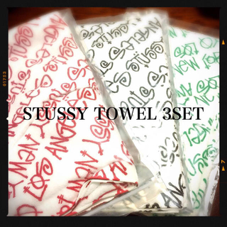 ステューシー(STUSSY)のSTUSSY Towel3Set(その他)
