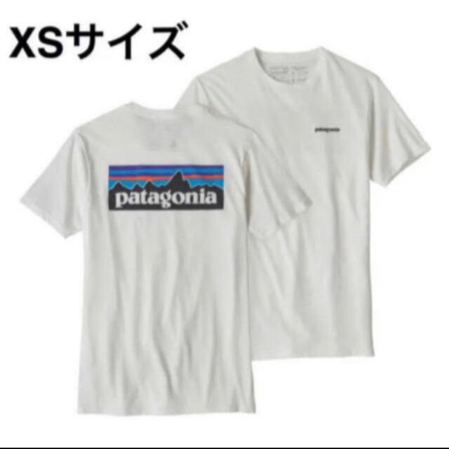 patagonia(パタゴニア)のパタゴニア Tシャツ xsサイズ レディースのトップス(Tシャツ(半袖/袖なし))の商品写真