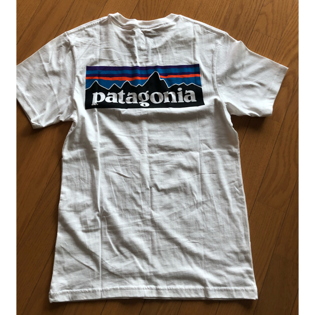 patagonia(パタゴニア)のパタゴニア Tシャツ xsサイズ レディースのトップス(Tシャツ(半袖/袖なし))の商品写真