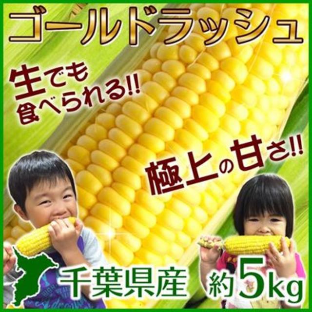 chan-pit@様専用 　②クール便発送の「ゴールドラッシュ」５本～７本！ 食品/飲料/酒の食品(野菜)の商品写真