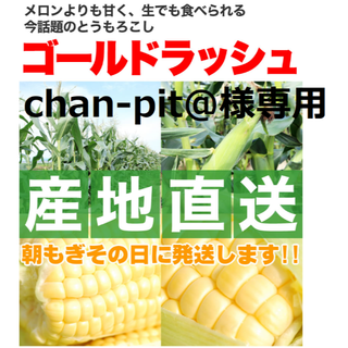 chan-pit@様専用 　②クール便発送の「ゴールドラッシュ」５本～７本！(野菜)