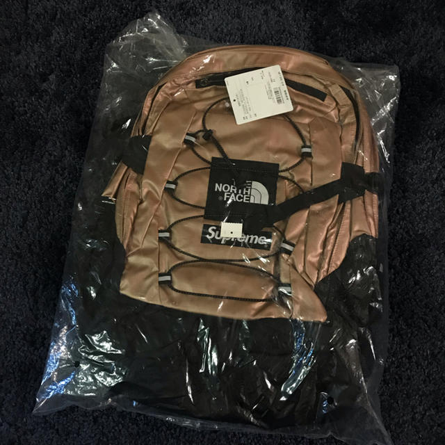 Supreme North Face Metallic Backpack