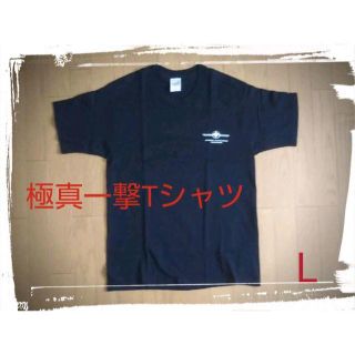 極真一撃Tシャツ【レアワンポイント版】Lサイズの通販 by サルル