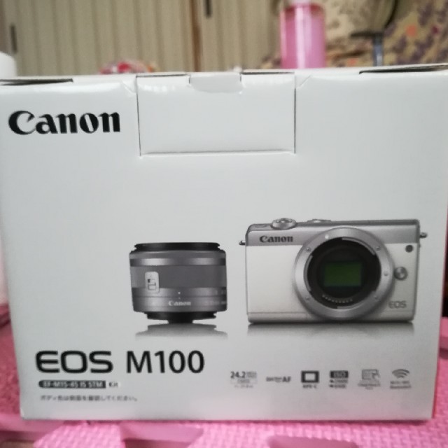 低価格の Canon - Canon EOS M100 EF-M15-45 IS STM レンズキット