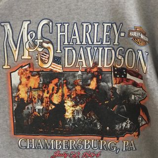 ハーレーダビッドソン(Harley Davidson)のハーレーダビッドソン  ビッグロゴTシャツ  L(Tシャツ/カットソー(半袖/袖なし))