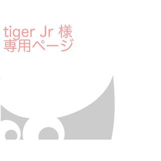 tiger Jr 様専用ページ(その他)