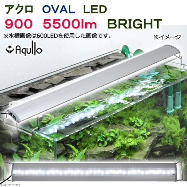 アクロ OVAL 900 LED 大光量！！！