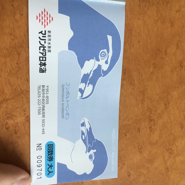 マリンピア日本海 水族館 チケット 大人1枚 チケットの施設利用券(水族館)の商品写真