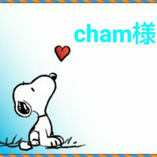 スヌーピー(SNOOPY)のcham様専用(キャラクターグッズ)