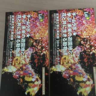  帯広美術館 デジタルアート「チームラボ　学ぶ未来の遊園地」チケット二枚(美術館/博物館)