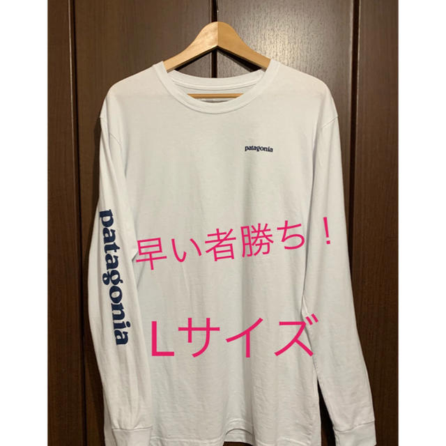 patagonia(パタゴニア)の完売品！希少！パタゴニア 袖ロゴ ロンT Lサイズ メンズのトップス(Tシャツ/カットソー(七分/長袖))の商品写真