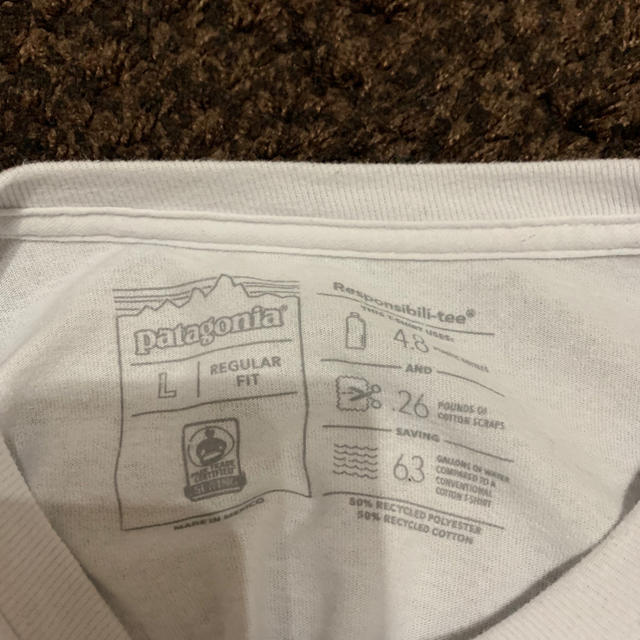 patagonia(パタゴニア)の完売品！希少！パタゴニア 袖ロゴ ロンT Lサイズ メンズのトップス(Tシャツ/カットソー(七分/長袖))の商品写真