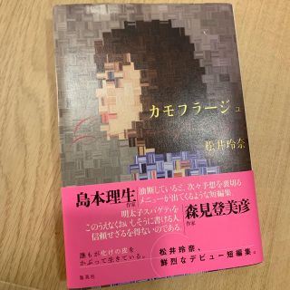 カモフラージュ(文学/小説)