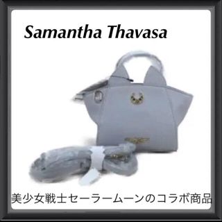 サマンサタバサ(Samantha Thavasa)の極美品 Samantha Thavasa  2way バッグ グレー(ショルダーバッグ)