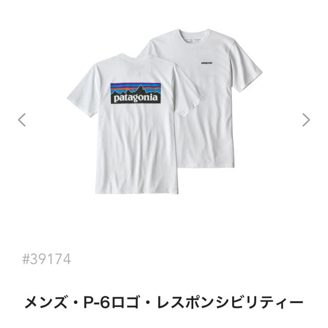 patagonia(パタゴニア)の本日発送！Patagonia Tシャツ メンズのトップス(Tシャツ/カットソー(半袖/袖なし))の商品写真