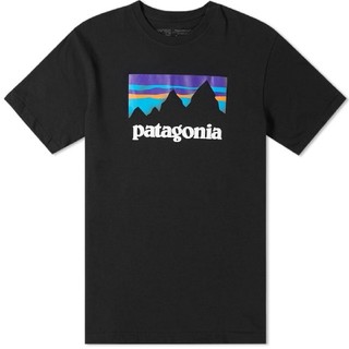 パタゴニア(patagonia)のPATAGONIA SHOP STICKER RESPONSIBILI-TEE(Tシャツ/カットソー(半袖/袖なし))