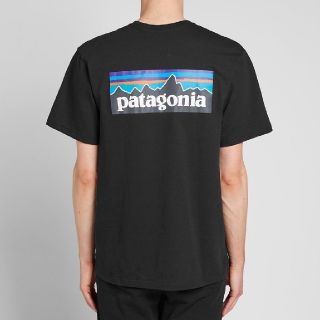 パタゴニア(patagonia)のLサイズ　パタゴニア tシャツ ロゴt P-6ロゴ レスポンシビリティー(Tシャツ/カットソー(半袖/袖なし))