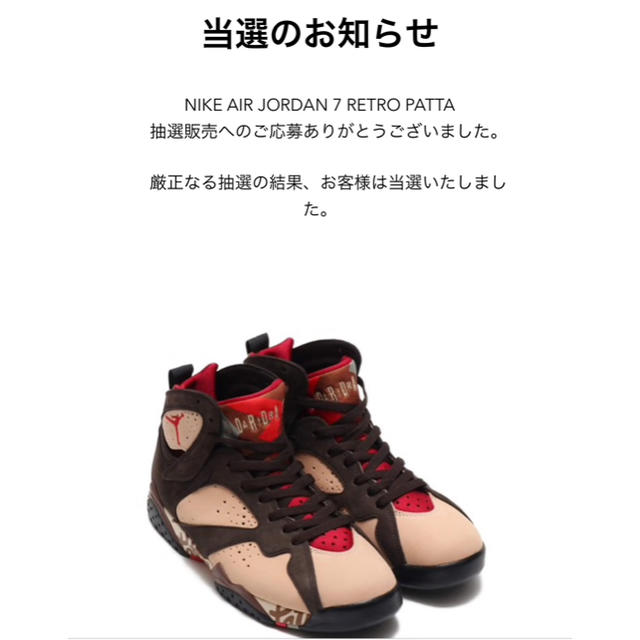 NIKE(ナイキ)のNIKE AIR JORDAN 7 RETRO PATTA メンズの靴/シューズ(スニーカー)の商品写真