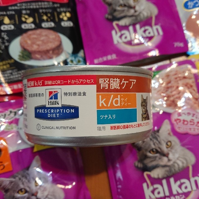 猫 ペットフード  色々 その他のペット用品(ペットフード)の商品写真