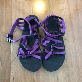 テバ(Teva)の専用(サンダル)