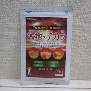 新品 大地のチカラ 約3ヶ月分☆ 高麗人参 トナカイ角 マカ 田七人参(その他)