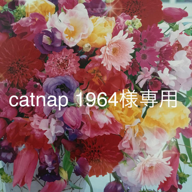 UNIQLO(ユニクロ)のcatnap 1964様専用 レディースのトップス(Tシャツ(長袖/七分))の商品写真