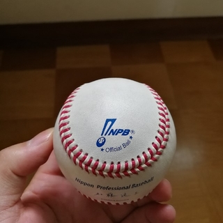 ミズノ(MIZUNO)のプロ野球　試合球　ミズノ(ボール)