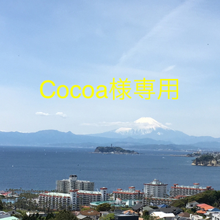 Cocoa様専用 Bee スパッツ 二足セット(パンツ/スパッツ)