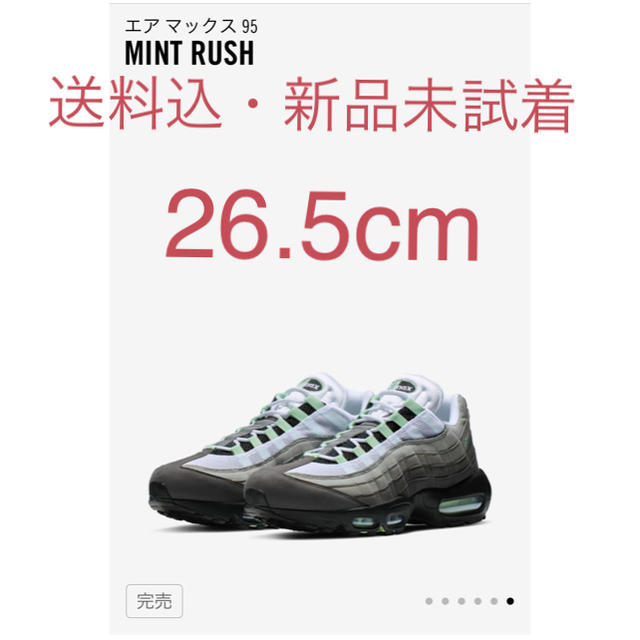 NIKE AIRMAX95 ミントラッシュ 26.5cm エアマックス