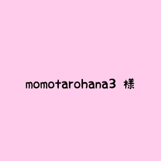 【ドライフラワー花材】momotarohana3 様(各種パーツ)