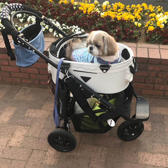 AIRBUGGY(エアバギー)のエアバギー  for dog ブレーキモデルSM その他のペット用品(犬)の商品写真