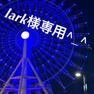 クリスチャンディオール(Christian Dior)のlark様専用(Tシャツ(半袖/袖なし))