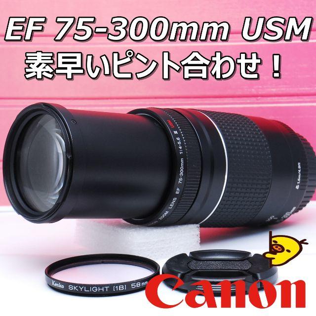 Canon - スポーツ・イベント撮影に♪キャノン EF 75-300mm Ⅲ USM