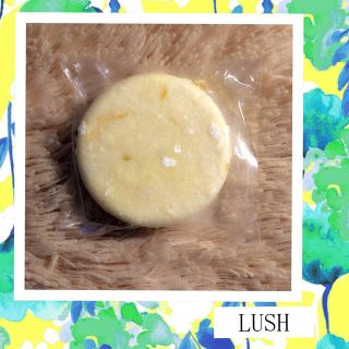 ラッシュ(LUSH)のrina♡様専用✨LUSH2点セット(シャンプー)