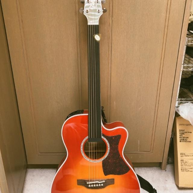 TAKAMINE エレクトリックアコースティックギター DMP751C