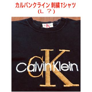 シーケーカルバンクライン(ck Calvin Klein)のカルバンクライン 刺繍珍しいヴィンテージTシャツ (L？)(Tシャツ/カットソー(半袖/袖なし))