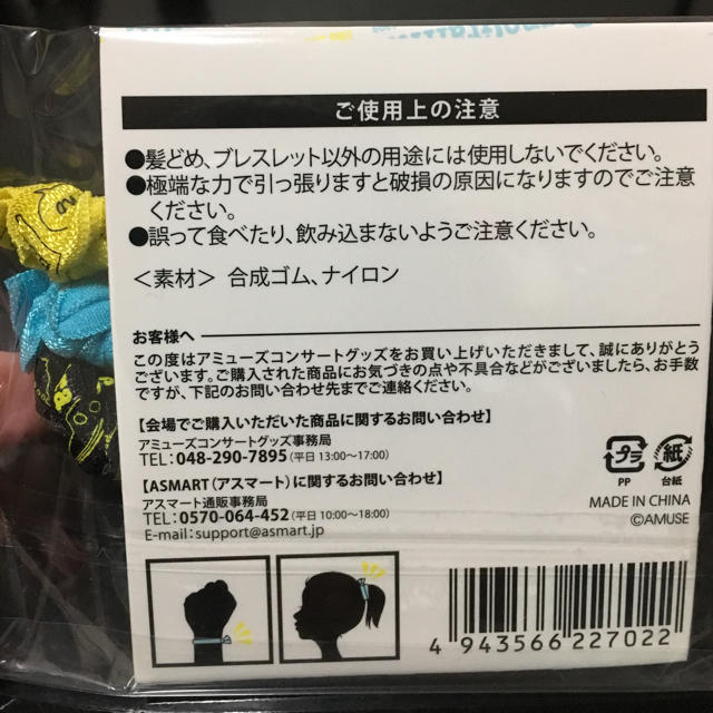 ポルノグラフィティ(ポルノグラフィティ)のポルノグラフィティ ライブグッズ 髪留め ブレスレット エンタメ/ホビーのタレントグッズ(ミュージシャン)の商品写真