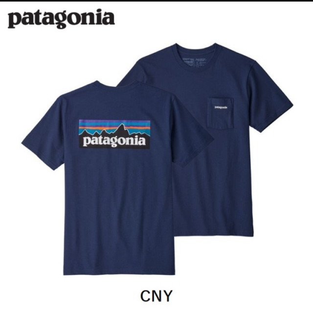 patagonia(パタゴニア)のPatagonia Ｔシャツ メンズのトップス(Tシャツ/カットソー(半袖/袖なし))の商品写真