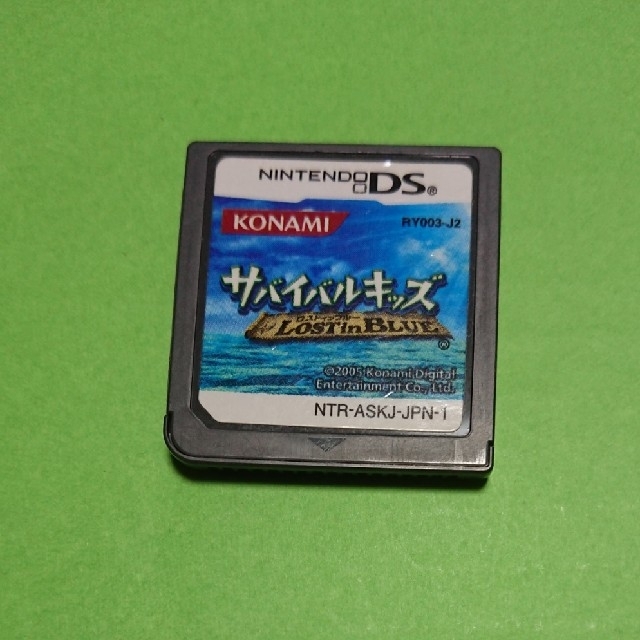 ニンテンドーDS(ニンテンドーDS)のサバイバルキッズ ロストインブルー エンタメ/ホビーのゲームソフト/ゲーム機本体(携帯用ゲームソフト)の商品写真