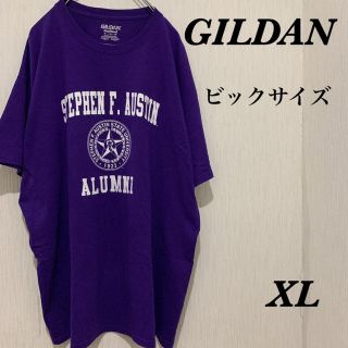 ギルタン(GILDAN)のGILDAN Tシャツ 古着 ビックサイズ プリント(Tシャツ/カットソー(半袖/袖なし))