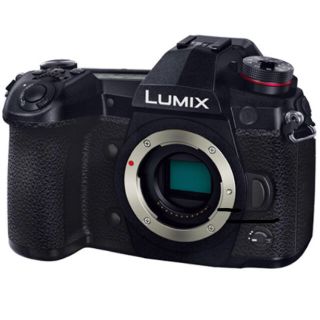 パナソニック(Panasonic)の『専用』DC-G9 LUMIX G9PRO バッテリーグリップ、予備バッテリー付(ミラーレス一眼)