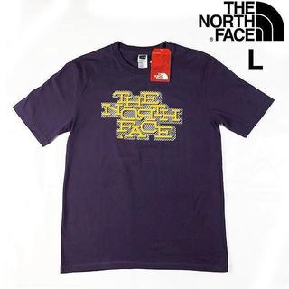 ザノースフェイス(THE NORTH FACE)の売切!ノースフェイス SHADOW 半袖 Tシャツ(L)紫 180902(Tシャツ/カットソー(半袖/袖なし))