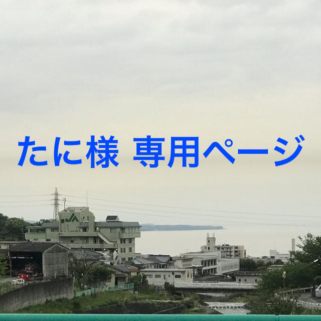 くろがね 堅パン  オーダー品 食品/飲料/酒の食品(菓子/デザート)の商品写真