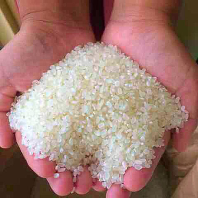 リされてい 渡部家のこしひかり 玄米 減農薬栽培の通販 by 愛媛のお米's shop｜ラクマ しいと