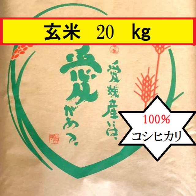 お米　H30　愛媛県産コシヒカリ　玄米　20㎏ 食品/飲料/酒の食品(米/穀物)の商品写真