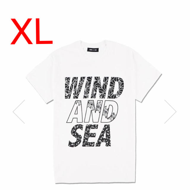 Tシャツ/カットソー(半袖/袖なし)【XL】BAKIBAKI×WDS TEE / WHITE