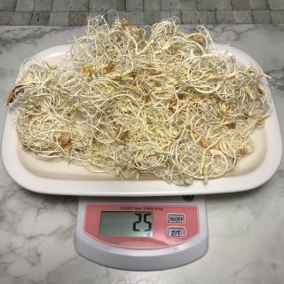 大地農園 カーリーモス 半量25ｇ(ドライフラワー)